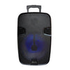 12" Portable Bluetooth® Speaker