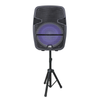 Portable 15 inch Bluetooth Party Speaker with Disco Light & Stand