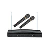 Professional Dual Wireless Microphone System