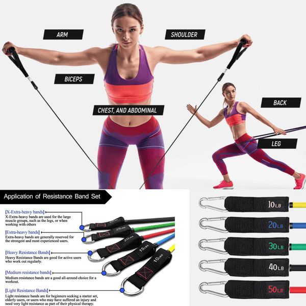 Athletic Works Home Gym Kit, Includes Resistance Tube, Ab Wheel, Jump Rope  and Push-Up Bars