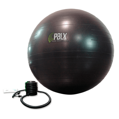 PBLX Exerflex Fitness Ball