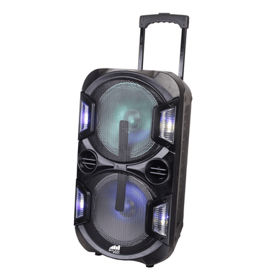 Portable Dual 10 inch Bluetooth Speakers with Disco Lights